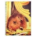 Buscar palomas libretas Pájaro