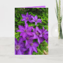 Buscar tacto tarjetas Flores