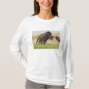 Buscar toro camisetas Primavera