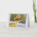 Buscar esté de luto tarjetas Duelo