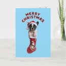 Buscar perritos lindos tarjetas General y unisex