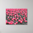 Buscar tulipanes blancos negros posters Blanco y negro