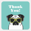 Buscar pug pegatinas Gracias