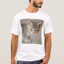 Buscar concentración camisetas Gato