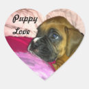 Buscar amor adolescente postales Perrito