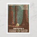 Buscar sequoia national park postales Secuoia