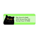 Buscar gatos etiquetas Verde