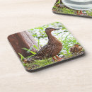 Buscar malla posavasos Pájaros