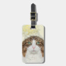 Buscar barba etiquetas para maletas Gatito