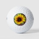 Buscar annuus Helianthus annuus