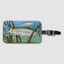 Buscar salmonete accesorios Pescados
