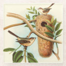 Buscar pájaros posavasos Rama de árbol