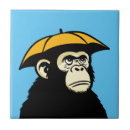 Buscar chimpancé azulejos 7 º raspa