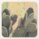 Buscar desierto posavasos Cactus