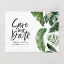 Buscar tropical postales Floral