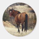 Buscar equino imanes Salvaje
