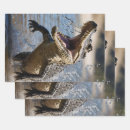 Buscar cocodrilo papel de regalo Reptil