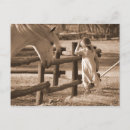 Buscar caballos negros postales General y unisex