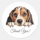 Buscar beagle lindo pegatinas Aguijón