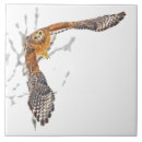 Buscar halcón azulejos Raptor