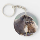 Buscar marmota llaveros Vida silvestre