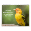 Buscar pájaros calendarios Arizona