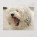 Buscar bostezo postales Exterior