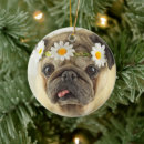 Buscar pug adornos Animal