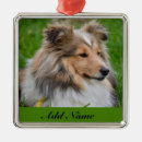 Buscar sheltie decoracion Canina