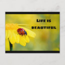 Buscar la vida es hermosa postales Comentar