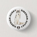 Buscar husky siberiano de la acuarela Perro
