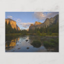 Buscar del ambiente postales Planta