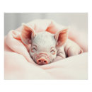 Buscar imaginación posters Para ella