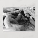 Buscar cadena postales Fotografía