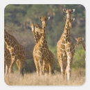 Buscar reciclado pegatinas Naturaleza