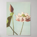 Buscar vintage botanical arte Retro