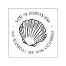Buscar seashells oficina escuela Conchas