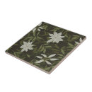 Buscar magnolia azulejos Elegante