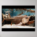 Buscar huesos de dinosaurio posters Esqueleto