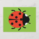 Buscar ladybug postales Insecto