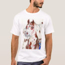 Buscar potro indio Equino