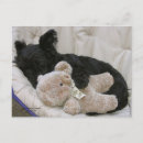 Buscar perrito postales Terrier