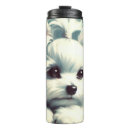 Buscar perro maltés tazas Perros lindos