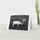 Buscar alaska tarjetas Fotografía