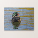 Buscar plumas puzzles Para niños