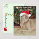 Buscar weimaraner postales Navidades