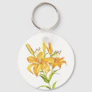 Buscar lilly accesorios Acuarela