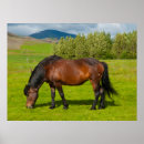 Buscar rancho posters Hombre