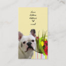 Buscar pascua tarjetas de visita Tulipanes