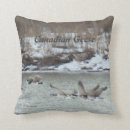 Buscar canadienses cojines Gansos